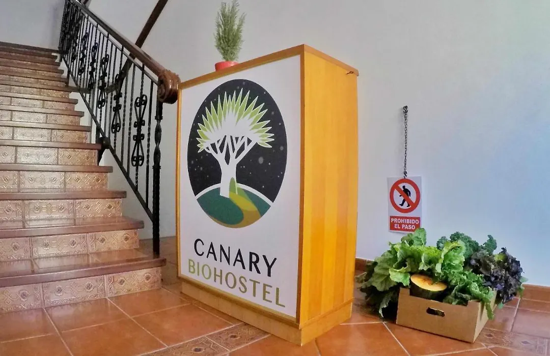 Canary Bio Hostel Tenerife-1
